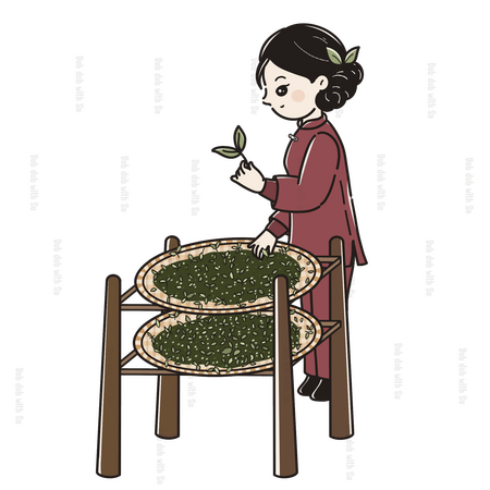 Nathatai T.Ge ภาพประกอบ Packaging ใบชา จ. เชียงราย